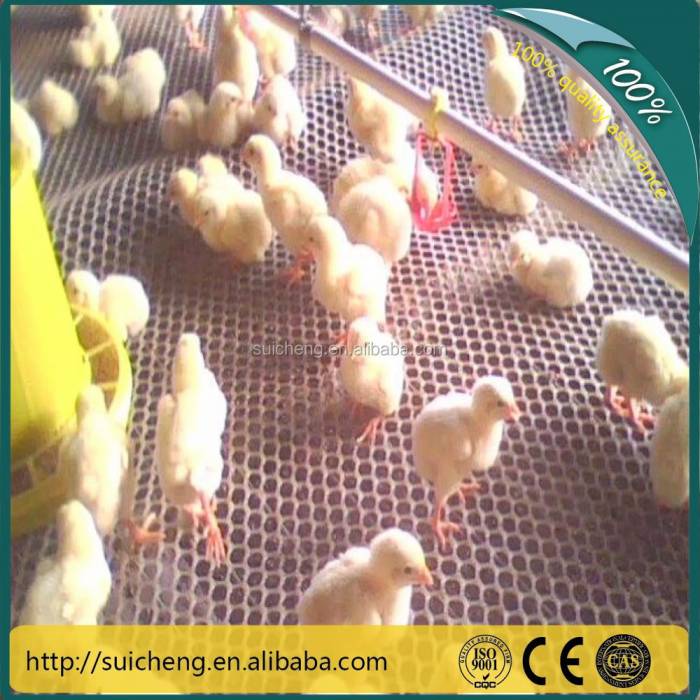 Guangzhou Factory Free Sample Hdpe Soft Plastic Flat Mesh /plastic Net For Chick Use